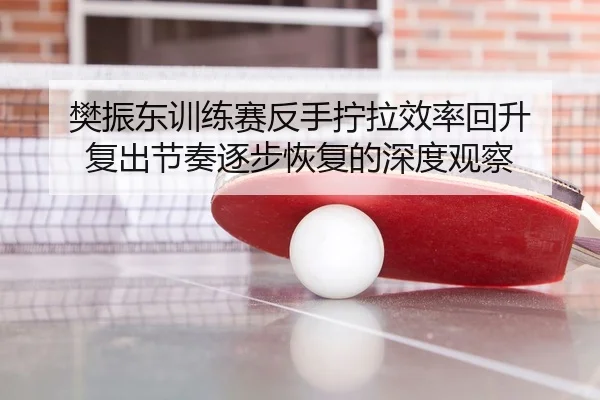 樊振东训练赛反手拧拉效率回升 复出节奏逐步恢复的深度观察
